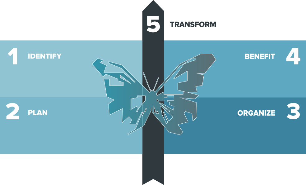 Mutatis 5-step strategic transformational methodology 