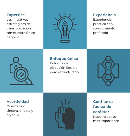 Expertise, Experiencia, Enfoque único, Asertividad, Confianza fuerza de carácter