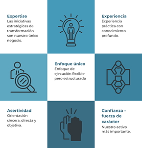 Nuestro Diferencial - DSI Partners