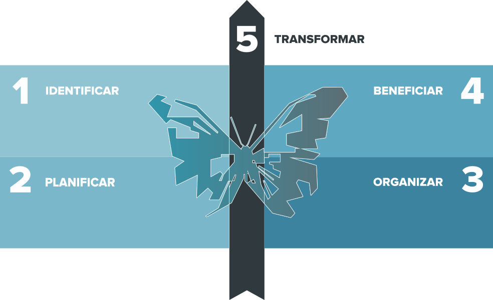 5 pasos de DSI Partners Mutatis