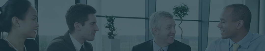 Partners - DSI Partners