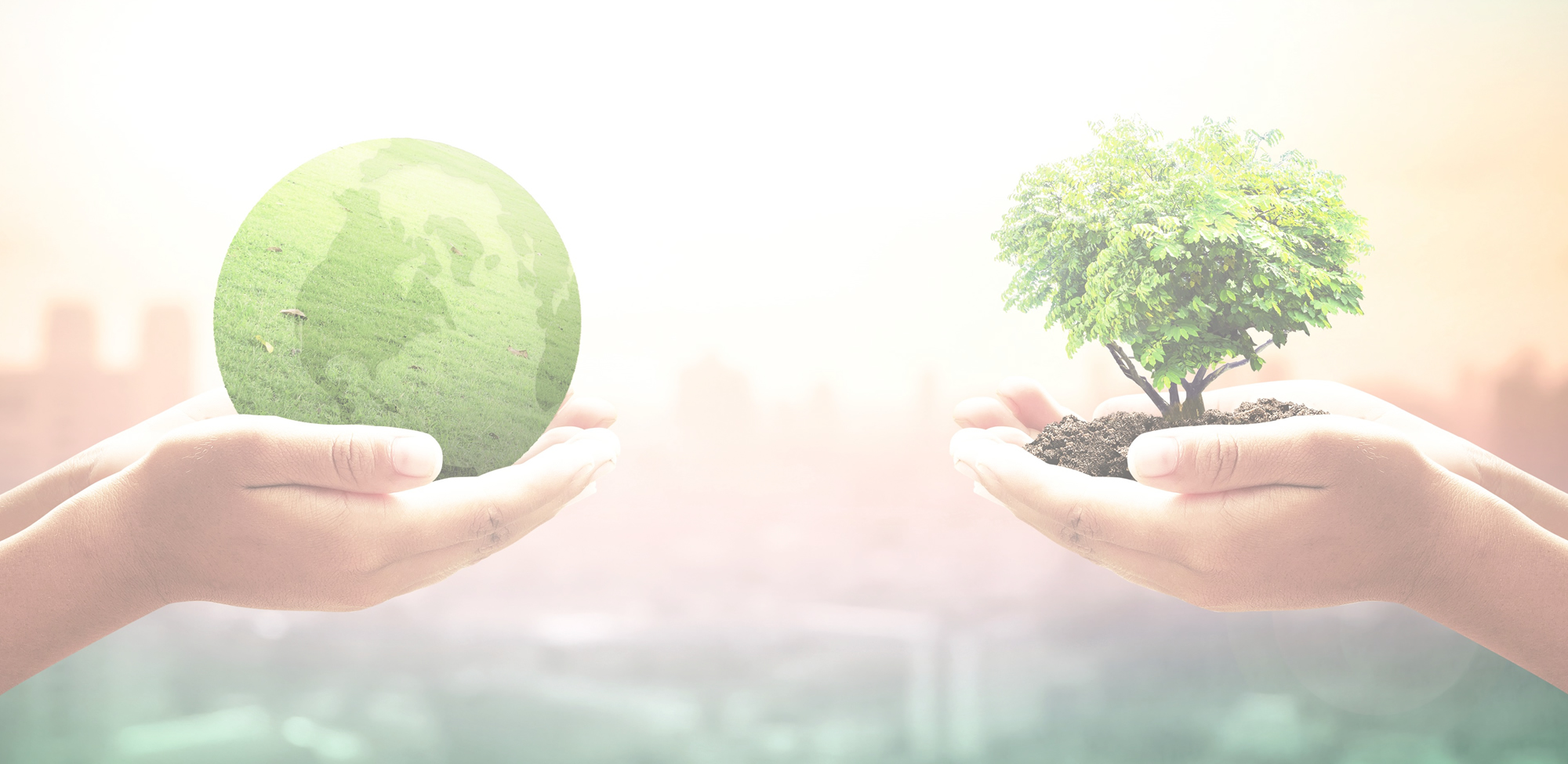 DSI Sustentabilidad imagen de fondo