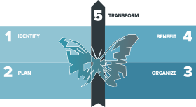 5-step strategic transformational methodology Mutatis - DSI Partners