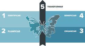 5 pasos metodología Mutatis - DSI Partners